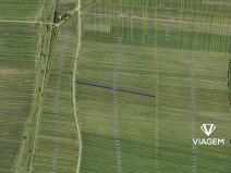 Prodej podílu pole, Javorník, 1352 m2