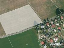 Prodej pole, Olešnice v Orlických horách, 7039 m2