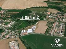 Prodej pole, Víceměřice, 5054 m2