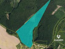 Prodej podílu lesa, Fryšták, 5483 m2