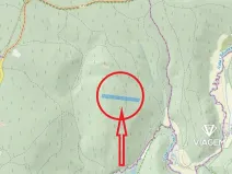 Prodej podílu lesa, Brno, 2941 m2