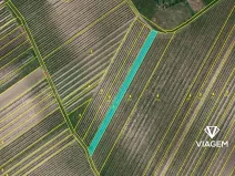 Prodej podílu pole, Velké Bílovice, 922 m2