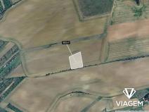 Prodej podílu pole, Zborovice, 1191 m2