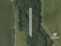 Prodej podílu lesa, Stěbořice, 1111 m2