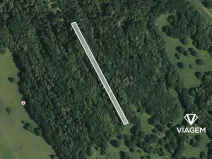 Prodej lesa, Kněždub, 997 m2
