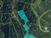 Prodej lesa, Železný Brod, 1564 m2