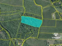 Prodej podílu zahrady, Žitenice, 1116 m2