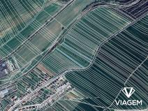 Prodej podílu pole, Zdounky, 1859 m2