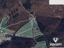 Prodej pole, Staré Hutě, 2664 m2