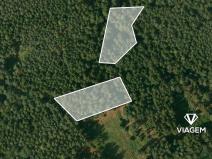 Prodej lesa, Bílov, 2331 m2