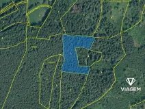 Prodej podílu lesa, Volyně, 1219 m2