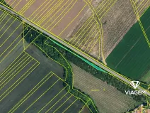 Prodej podílu lesa, Tulešice, 3694 m2