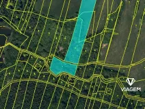 Prodej lesa, Těškovice, 5485 m2