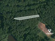 Prodej lesa, Třeboň, 1201 m2