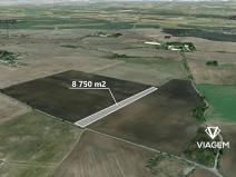 Prodej pole, Veliká Ves, 8750 m2