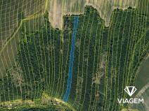 Prodej lesa, Hradec nad Moravicí, 7763 m2