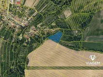 Prodej zahrady, Medlovice, 4855 m2