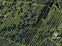 Prodej podílu pole, Slavkov, 1895 m2