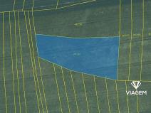 Prodej pole, Kněždub, 2557 m2