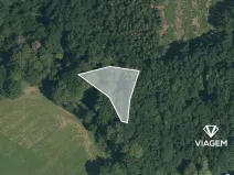 Prodej podílu lesa, Lešná, 311 m2