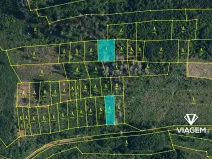 Prodej podílu lesa, Radkovice u Budče, 13191 m2