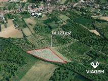 Prodej podílu sadu/vinice, Želešice, 511 m2