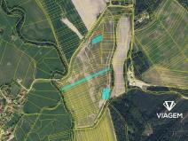 Prodej podílu pole, Žďár nad Orlicí, 897 m2