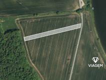 Prodej podílu lesa, Bělov, 964 m2