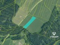 Prodej pole, Čachrov, 12599 m2