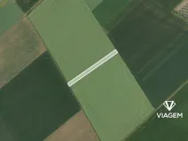 Prodej pole, Syrovice, 2655 m2