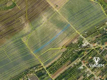 Prodej podílu pole, Kuchařovice, 835 m2