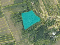 Prodej podílu lesa, Košíky, 8165 m2