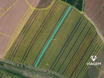 Prodej podílu pole, Kuchařovice, 2403 m2