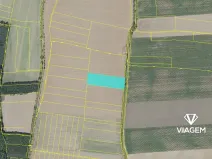 Prodej pole, Kostelec nad Černými lesy, 10245 m2