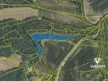 Prodej podílu lesa, Čím, 2849 m2