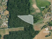Prodej podílu lesa, Dašice, 5360 m2