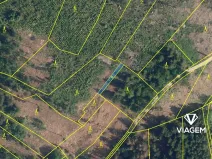 Prodej podílu lesa, Železný Brod, 27889 m2