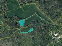Prodej podílu lesa, Veselé, 5410 m2