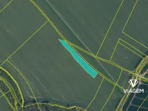 Prodej podílu pole, Štětí, 1634 m2
