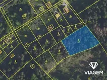 Prodej lesa, Libeř, 1907 m2