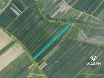 Prodej pole, Prakšice, 7944 m2