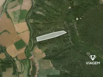 Prodej podílu lesa, Hřivice, 5452 m2