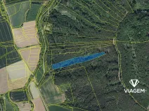 Prodej podílu lesa, Hřivice, 5452 m2
