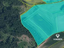 Prodej podílu lesa, Mříčná, 3898 m2