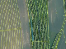 Prodej podílu pole, Bzenec, 329 m2