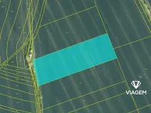 Prodej podílu pole, Zborovice, 1819 m2