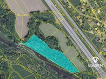 Prodej podílu lesa, Bystřice, 1818 m2