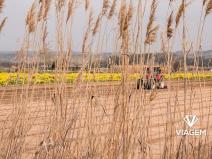 Prodej podílu pole, Cetechovice, 4266 m2