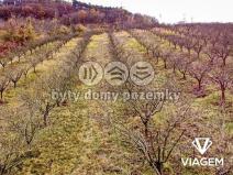 Prodej podílu pole, Roudnice nad Labem, 2009 m2