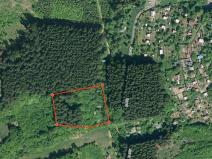 Prodej podílu lesa, Vsetín, 349 m2